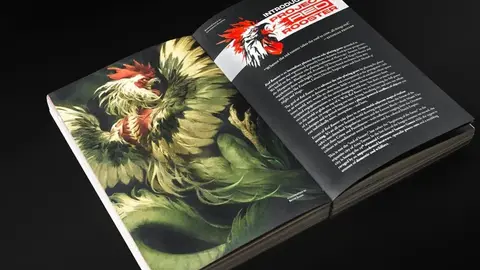 Livro físico de Red Rooster aberto: ilustração de galo verde e vermelho à esquerda, texto de apresentação à direita.